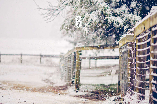 大寒為什么要吃糯米飯 大寒節(jié)氣怎么養(yǎng)生 大寒為什么要吃糯米飯 大寒節(jié)氣怎么養(yǎng)生