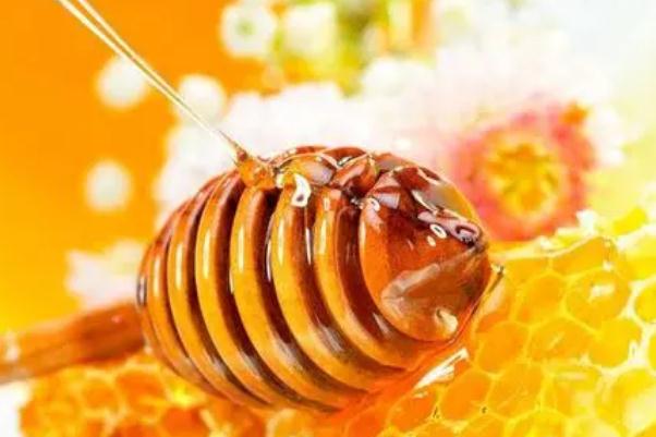 蜂膠是蜂巢嗎 蜂膠要吃多久才有效果 蜂膠是蜂巢嗎 蜂膠要吃多久才有效果