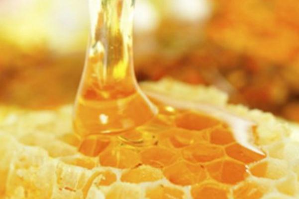 蜂膠4類人不能吃 蜂膠怎么吃效果好 蜂膠4類人不能吃 蜂膠怎么吃效果好