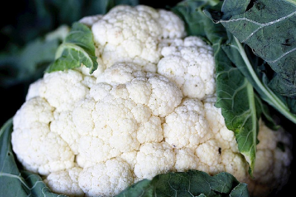 花菜吃了胃疼是怎么回事 花菜對(duì)胃有什么影響 花菜吃了胃疼是怎么回事 花菜對(duì)胃有什么影響