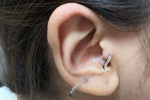打耳骨要多久恢復(fù)期 打耳骨釘之后多久可以換耳釘 打耳骨要多久恢復(fù)期 打耳骨釘之后多久可以換耳釘