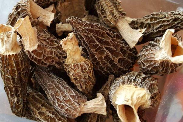 羊肚菌孕婦可以吃嗎 羊肚菌孕婦一次放幾個 羊肚菌孕婦可以吃嗎 羊肚菌孕婦一次放幾個