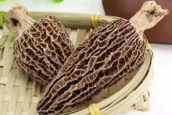 羊肚菌孕婦可以吃嗎 羊肚菌孕婦一次放幾個 羊肚菌孕婦可以吃嗎 羊肚菌孕婦一次放幾個