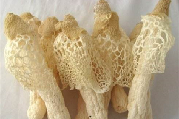 竹蓀要洗嗎 竹蓀怎么清洗沒有怪味 竹蓀要洗嗎 竹蓀怎么清洗沒有怪味