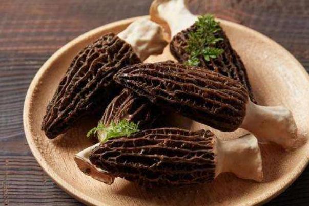 羊肚菌哪些人不宜吃 羊肚菌小孩可以吃嗎 羊肚菌哪些人不宜吃 羊肚菌小孩可以吃嗎