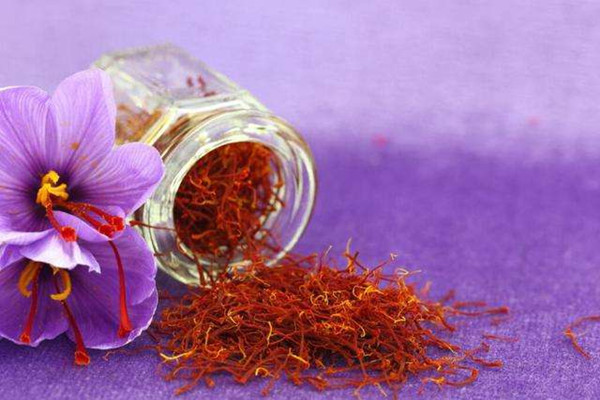 藏紅花泡水喝會上火嗎 藏紅花泡水喝會拉肚子嗎 藏紅花泡水喝會上火嗎 藏紅花泡水喝會拉肚子嗎