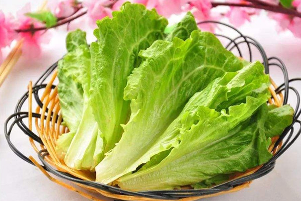 生菜是不是感光食物 生菜屬于發(fā)物嗎 生菜是不是感光食物 生菜屬于發(fā)物嗎