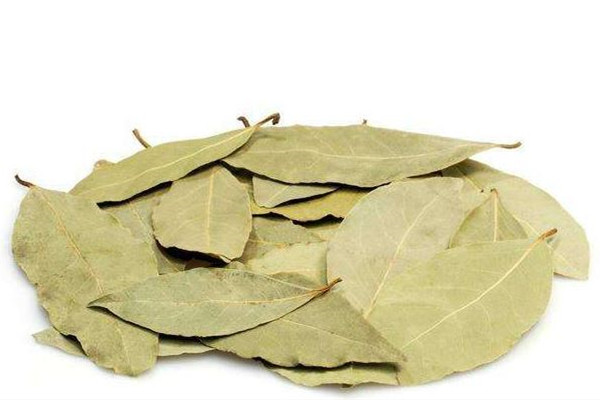 香葉適合做什么菜 香葉在鹵水中起到什么樣的作用 香葉適合做什么菜 香葉在鹵水中起到什么樣的作用