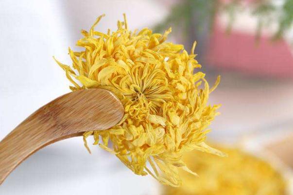 金絲皇菊孕婦能喝嗎 金絲皇菊的沖泡方法 金絲皇菊孕婦能喝嗎 金絲皇菊的沖泡方法