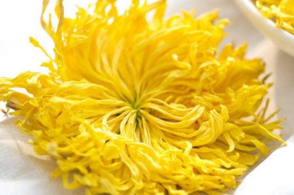 金絲皇菊的功效與作用 金絲皇菊和胎菊哪個(gè)好 金絲皇菊的功效與作用 金絲皇菊和胎菊哪個(gè)好