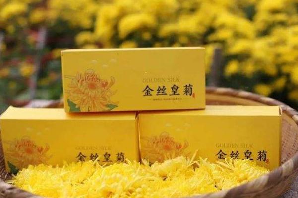 金絲皇菊有蟲子正常嗎 如何選擇好的金絲皇菊 金絲皇菊有蟲子正常嗎 如何選擇好的金絲皇菊