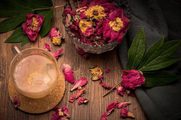 牡丹花茶的味道 牡丹花茶的禁忌 牡丹花茶的味道 牡丹花茶的禁忌