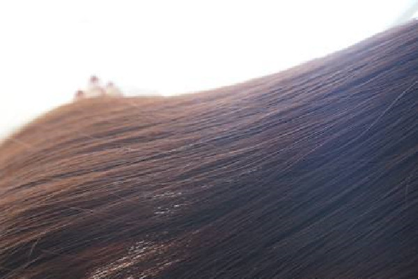 焗油要把頭發(fā)洗干凈嗎 焗油是干頭發(fā)好還是濕頭發(fā)好 焗油要把頭發(fā)洗干凈嗎 焗油是干頭發(fā)好還是濕頭發(fā)好