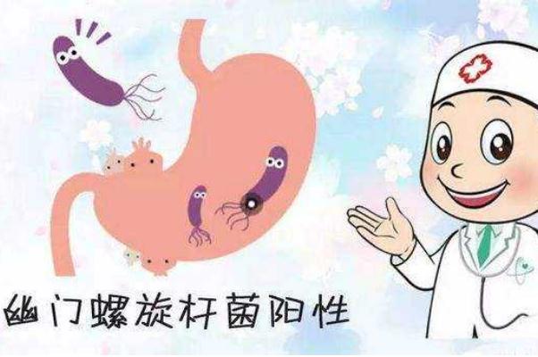 幽門螺桿菌感染癥狀表現(xiàn) 幽門螺桿菌如何根治 幽門螺桿菌感染癥狀表現(xiàn) 幽門螺桿菌如何根治