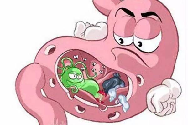 幽門螺桿菌最怕的食物 幽門螺桿菌可以自愈嗎 幽門螺桿菌最怕的食物 幽門螺桿菌可以自愈嗎
