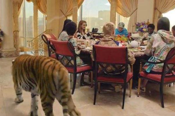 gucci是哪個(gè)集團(tuán)下的 gucci虎年廣告用了老虎 gucci是哪個(gè)集團(tuán)下的 gucci虎年廣告用了老虎