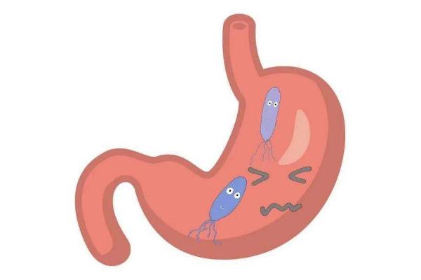 幽門螺桿菌的正常值范圍是多少 幽門螺桿菌傳染嗎傳播途徑是什么 幽門螺桿菌的正常值范圍是多少 幽門螺桿菌傳染嗎傳播途徑是什么