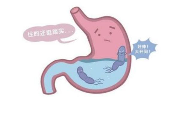 幽門螺桿菌是如何引起的 幽門螺桿菌是一種什么病 幽門螺桿菌是如何引起的 幽門螺桿菌是一種什么病