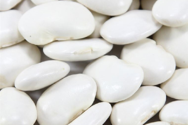 白蕓豆可以減肥嗎 白蕓豆減肥效果怎么樣 白蕓豆可以減肥嗎 白蕓豆減肥效果怎么樣