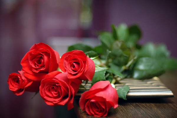 玫瑰花的功效和作用 玫瑰花可以天天泡水喝嗎 玫瑰花的功效和作用 玫瑰花可以天天泡水喝嗎