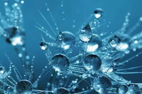 玻色因的功效與作用 玻色因的副作用 玻色因的功效與作用 玻色因的副作用