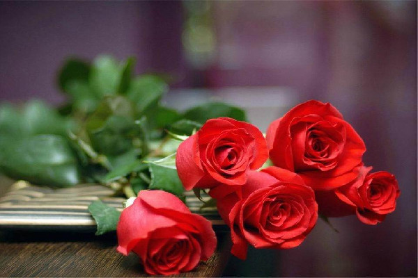 玫瑰花的功效和作用 玫瑰花可以天天泡水喝嗎 玫瑰花的功效和作用 玫瑰花可以天天泡水喝嗎