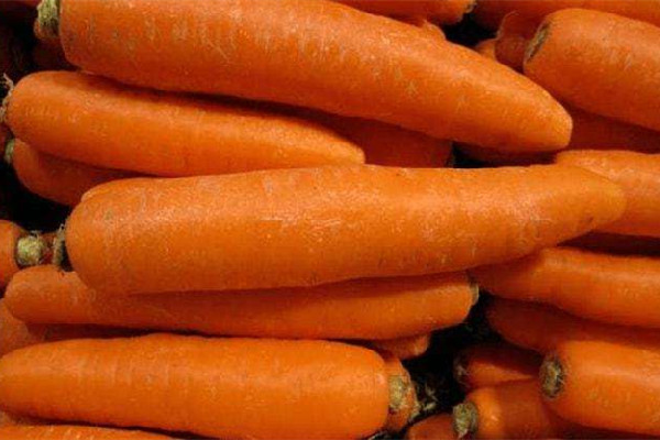 胡蘿卜屬于蘿卜嗎 胡蘿卜怎么做好吃 胡蘿卜屬于蘿卜嗎 胡蘿卜怎么做好吃