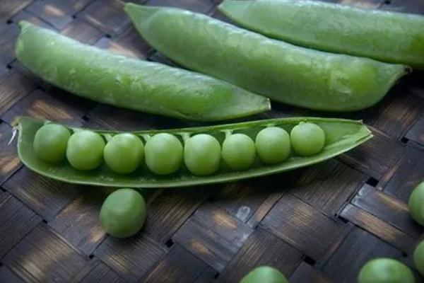 豌豆會(huì)不會(huì)長胖 豌豆會(huì)不會(huì)引起脹氣