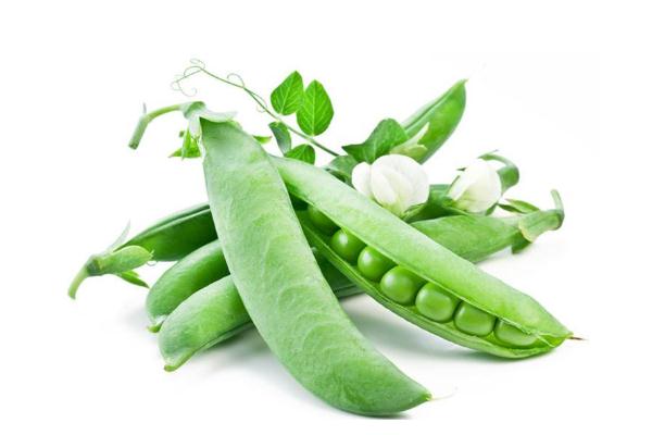 豌豆會(huì)上火嗎 豌豆會(huì)變黃嗎 豌豆會(huì)上火嗎 豌豆會(huì)變黃嗎
