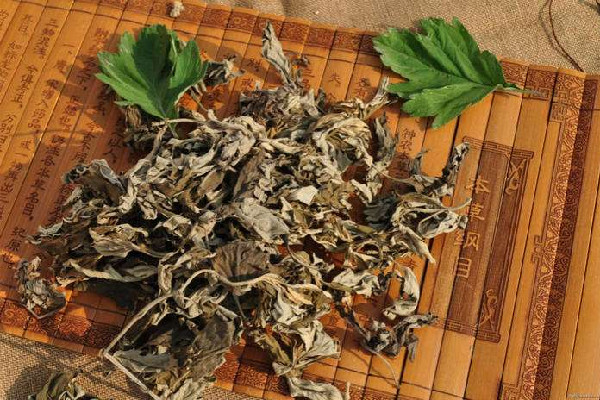 艾草泡腳能去除體內(nèi)濕氣嗎 艾草泡腳的功效和作用 艾草泡腳能去除體內(nèi)濕氣嗎 艾草泡腳的功效和作用