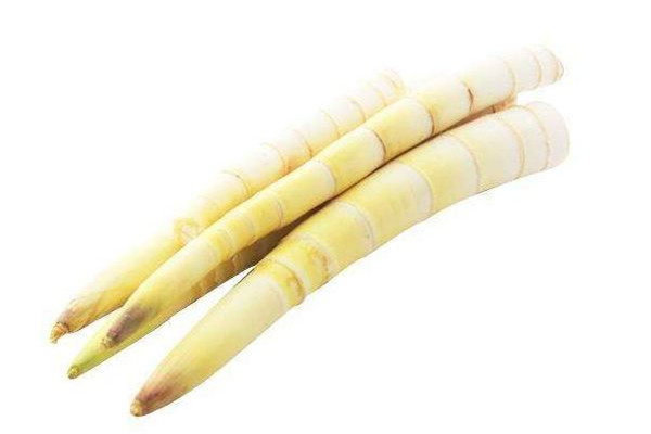 春筍吃多了胃難受怎么辦 春筍一次吃多少合適 春筍吃多了胃難受怎么辦 春筍一次吃多少合適