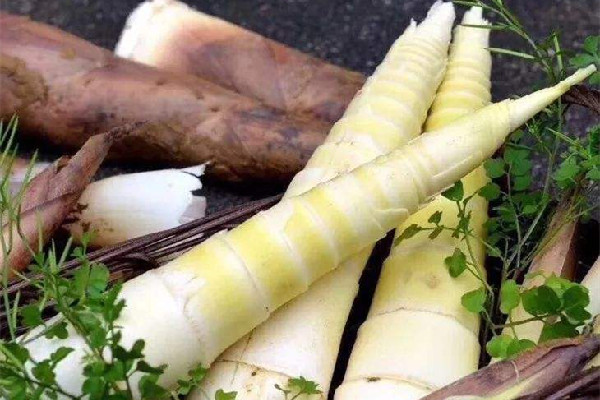 春筍吃起來為什么麻麻的 春筍吃起來酸怎么回事 春筍吃起來為什么麻麻的 春筍吃起來酸怎么回事