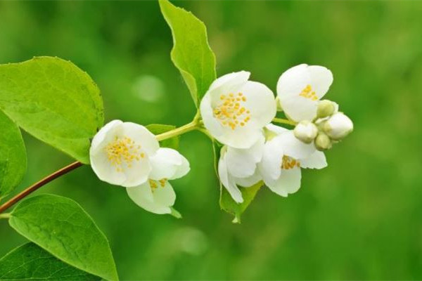 春分和立春有什么區(qū)別 春分以后會暖和嗎 春分和立春有什么區(qū)別 春分以后會暖和嗎