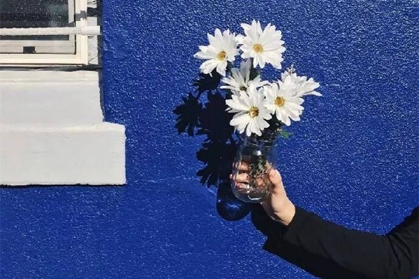 克萊因藍(lán)代表什么寓意 克萊因藍(lán)的由來 克萊因藍(lán)代表什么寓意 克萊因藍(lán)的由來