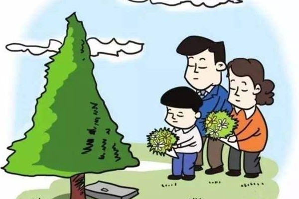 掃墓鮮花用什么花 掃墓菊花用多少支 掃墓鮮花用什么花 掃墓菊花用多少支