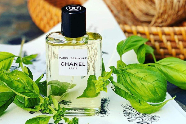 香奈兒香水是哪個國家的牌子 香奈兒香水是什么檔次 香奈兒香水是哪個國家的牌子 香奈兒香水是什么檔次