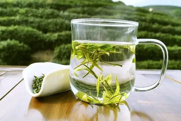 明前茶和明后茶有什么區(qū)別 明前茶是不是越早越好 明前茶和明后茶有什么區(qū)別 明前茶是不是越早越好