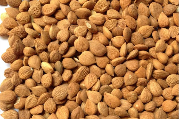 苦杏仁會導(dǎo)致流產(chǎn)嗎 ?苦杏仁對孕婦有影響嗎 苦杏仁會導(dǎo)致流產(chǎn)嗎 ?苦杏仁對孕婦有影響嗎