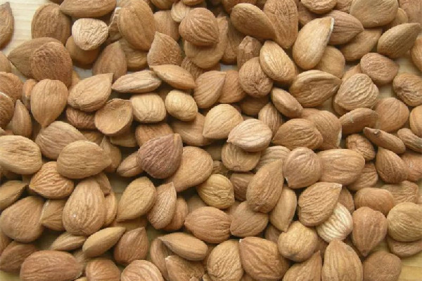 苦杏仁的功效和作用 苦杏仁可以多吃嗎 苦杏仁的功效和作用 苦杏仁可以多吃嗎