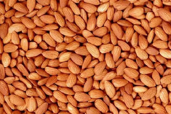 苦杏仁會導(dǎo)致流產(chǎn)嗎 ?苦杏仁對孕婦有影響嗎 苦杏仁會導(dǎo)致流產(chǎn)嗎 ?苦杏仁對孕婦有影響嗎