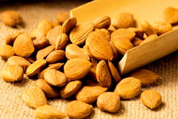 苦杏仁是南杏還是北杏 苦杏仁是什么果實(shí) 苦杏仁是南杏還是北杏 苦杏仁是什么果實(shí)