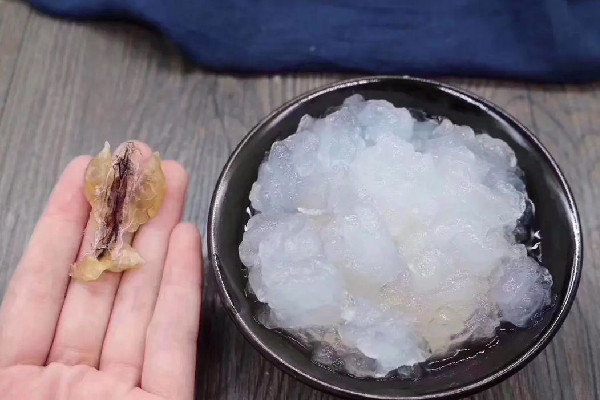 雪蛤是什么東西 雪蛤有毒嗎 雪蛤是什么東西 雪蛤有毒嗎