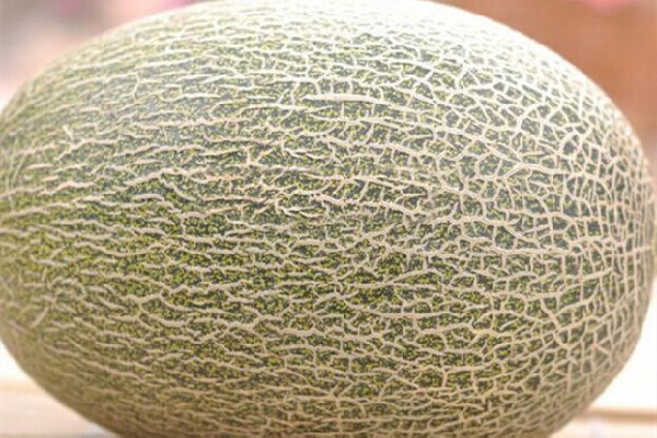 哈密瓜吃了喉嚨不舒服是什么原因 哈密瓜對(duì)嗓子好嗎 哈密瓜吃了喉嚨不舒服是什么原因 哈密瓜對(duì)嗓子好嗎