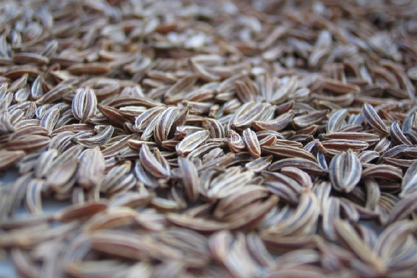 孜然粉過期了還能吃嗎 孜然粉可以保存多久 孜然粉過期了還能吃嗎 孜然粉可以保存多久