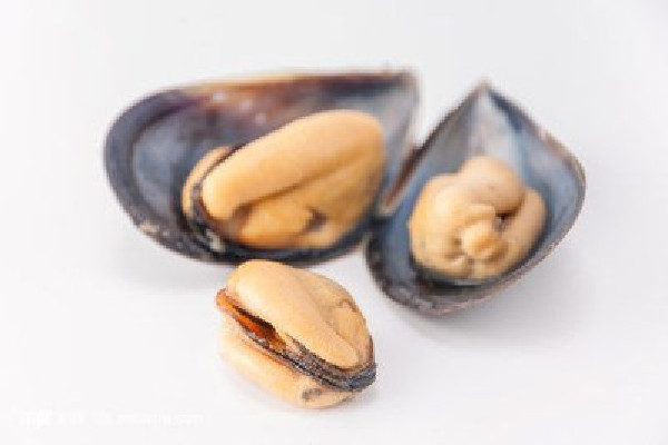 海虹買(mǎi)來(lái)都張口了還能吃嗎 買(mǎi)海虹需要注意什么 海虹買(mǎi)來(lái)都張口了還能吃嗎 買(mǎi)海虹需要注意什么