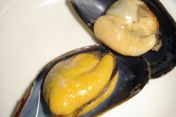 海虹什么部位不能吃 海虹的正確吃法 海虹什么部位不能吃 海虹的正確吃法