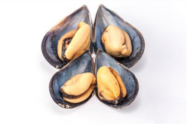 海虹用冷水煮還是熱水煮 海虹煮熟了第二天能吃嗎 海虹用冷水煮還是熱水煮 海虹煮熟了第二天能吃嗎