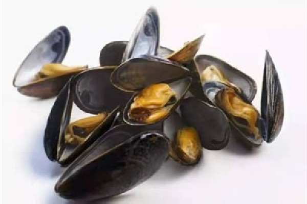 海虹買(mǎi)來(lái)都張口了還能吃嗎 買(mǎi)海虹需要注意什么 海虹買(mǎi)來(lái)都張口了還能吃嗎 買(mǎi)海虹需要注意什么