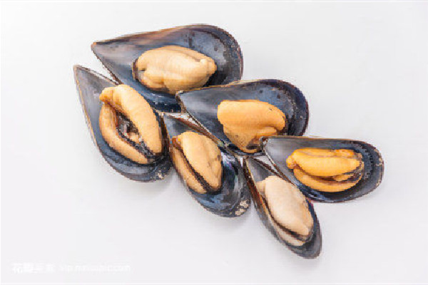 海虹買(mǎi)來(lái)都張口了還能吃嗎 買(mǎi)海虹需要注意什么 海虹買(mǎi)來(lái)都張口了還能吃嗎 買(mǎi)海虹需要注意什么