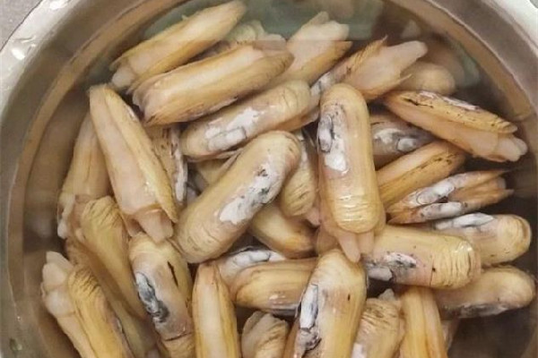 蟶子要煮多長(zhǎng)時(shí)間才能熟 蟶子不開口還能吃嗎 蟶子要煮多長(zhǎng)時(shí)間才能熟 蟶子不開口還能吃嗎